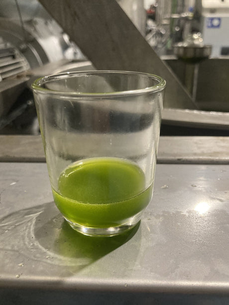 "Ultra Premium" Olive Oil Meaning